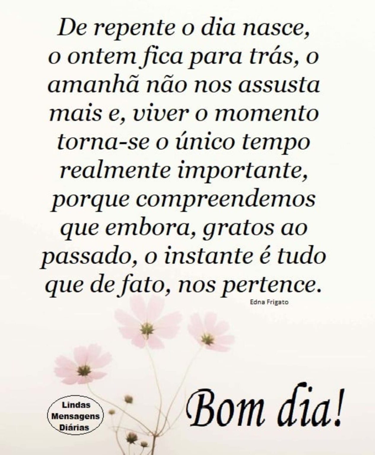 Imagens Bonitas Do Bom Dia Frases Imagensbomdia Net