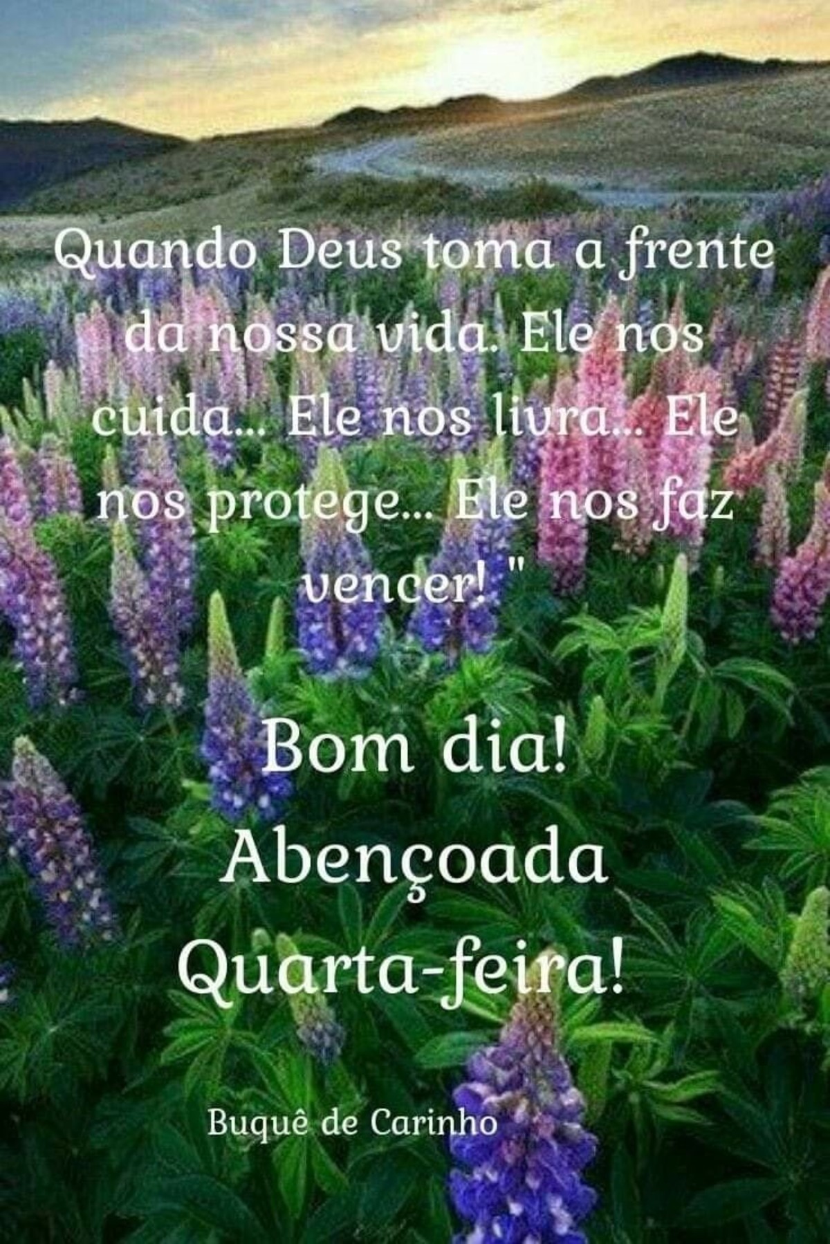 Bom Dia Feliz Quarta-Feira WhatsApp 216