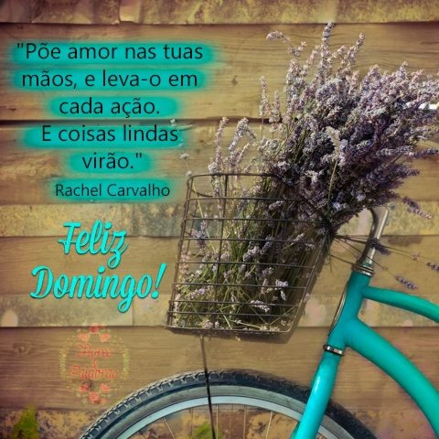 Feliz Domingo 123