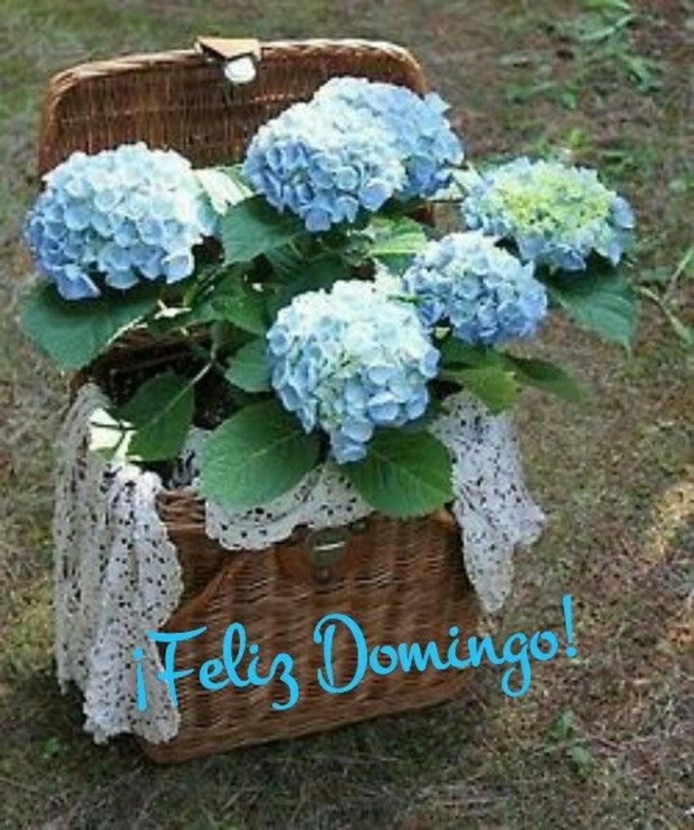 Feliz Domingo Pinterest 247