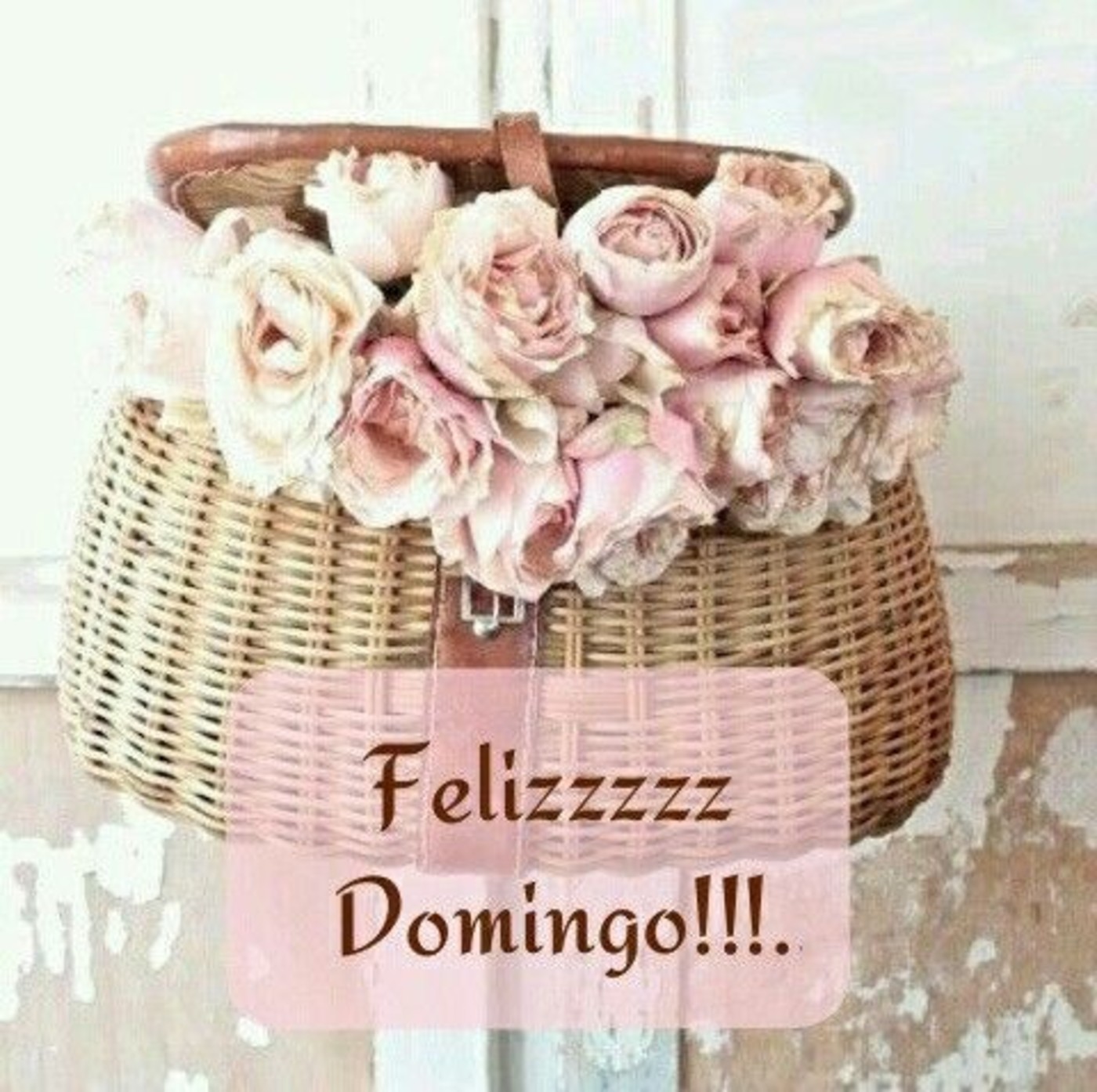 Feliz Domingo Pinterest 248