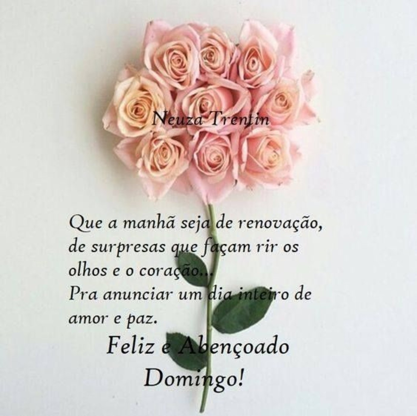 Feliz Domingo Pinterest 252