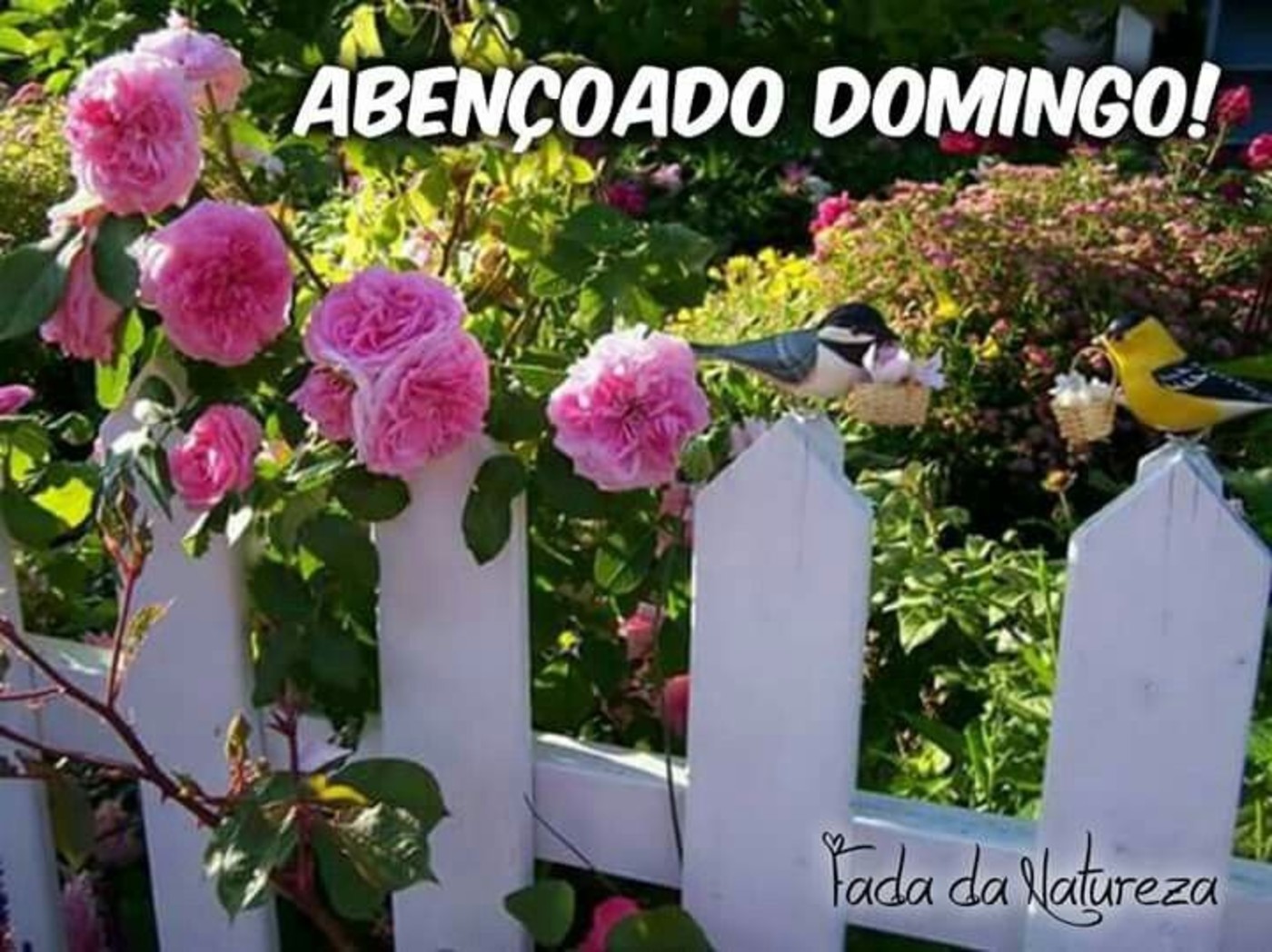 Feliz Domingo com rosas mensagem 33