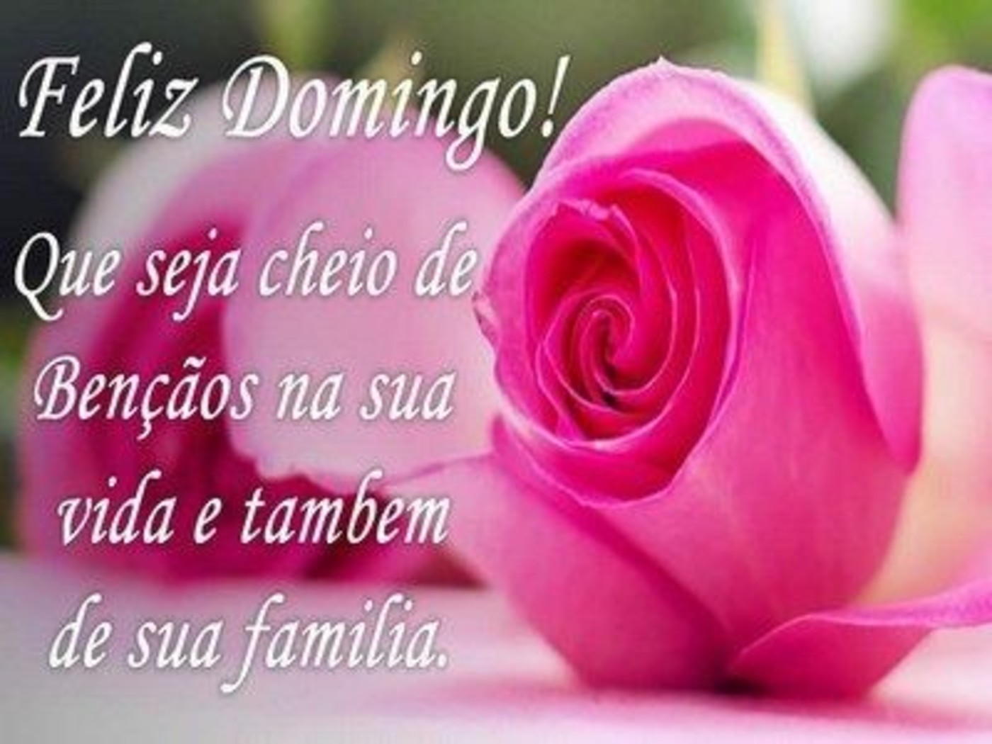 Feliz Domingo com rosas mensagem 77