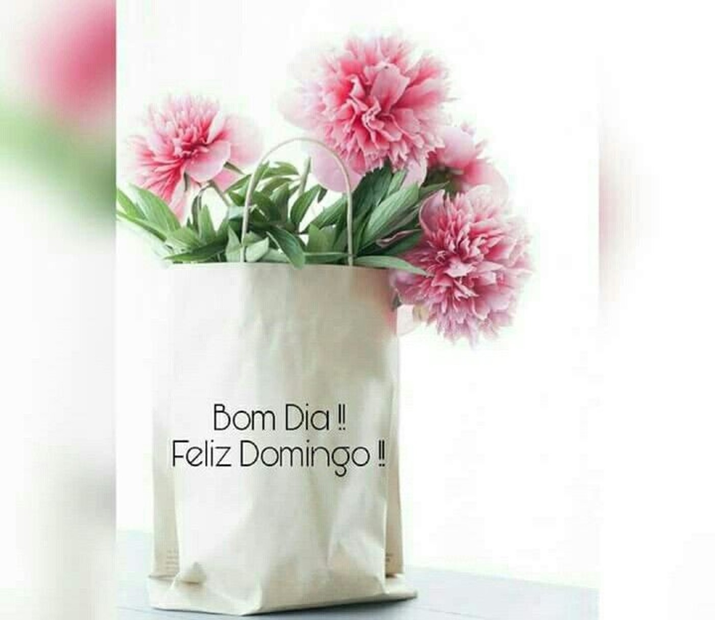 Feliz Domingo e Bom Dia 57