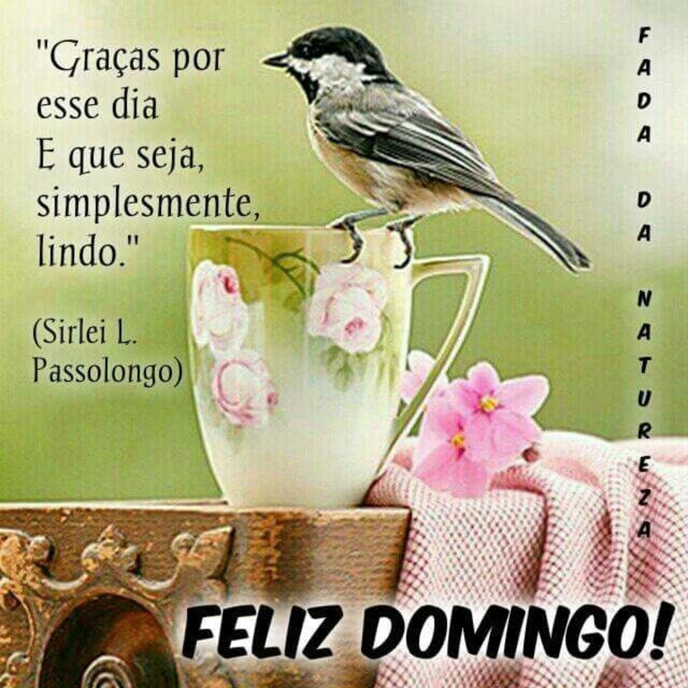 Feliz Domingo e Bom Dia 62