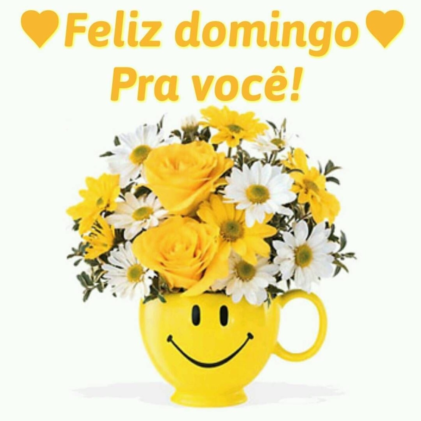 Feliz Domingo pra você 142