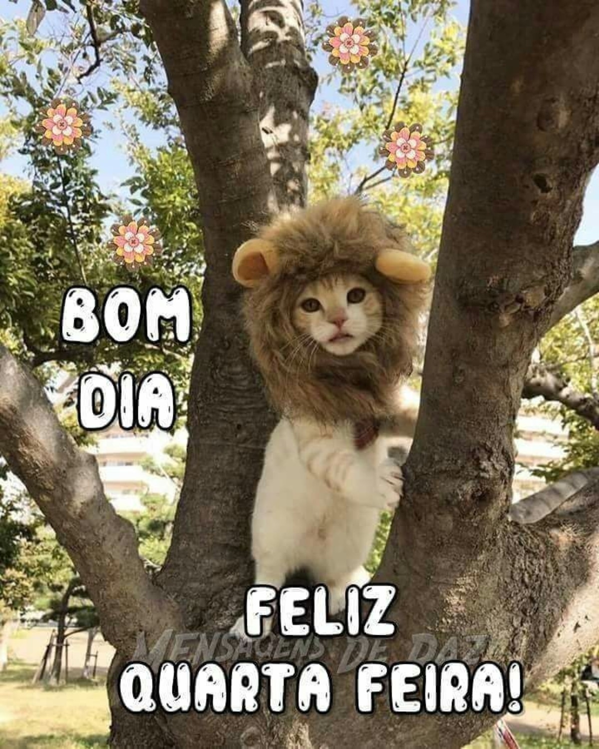 Feliz Quarta 97