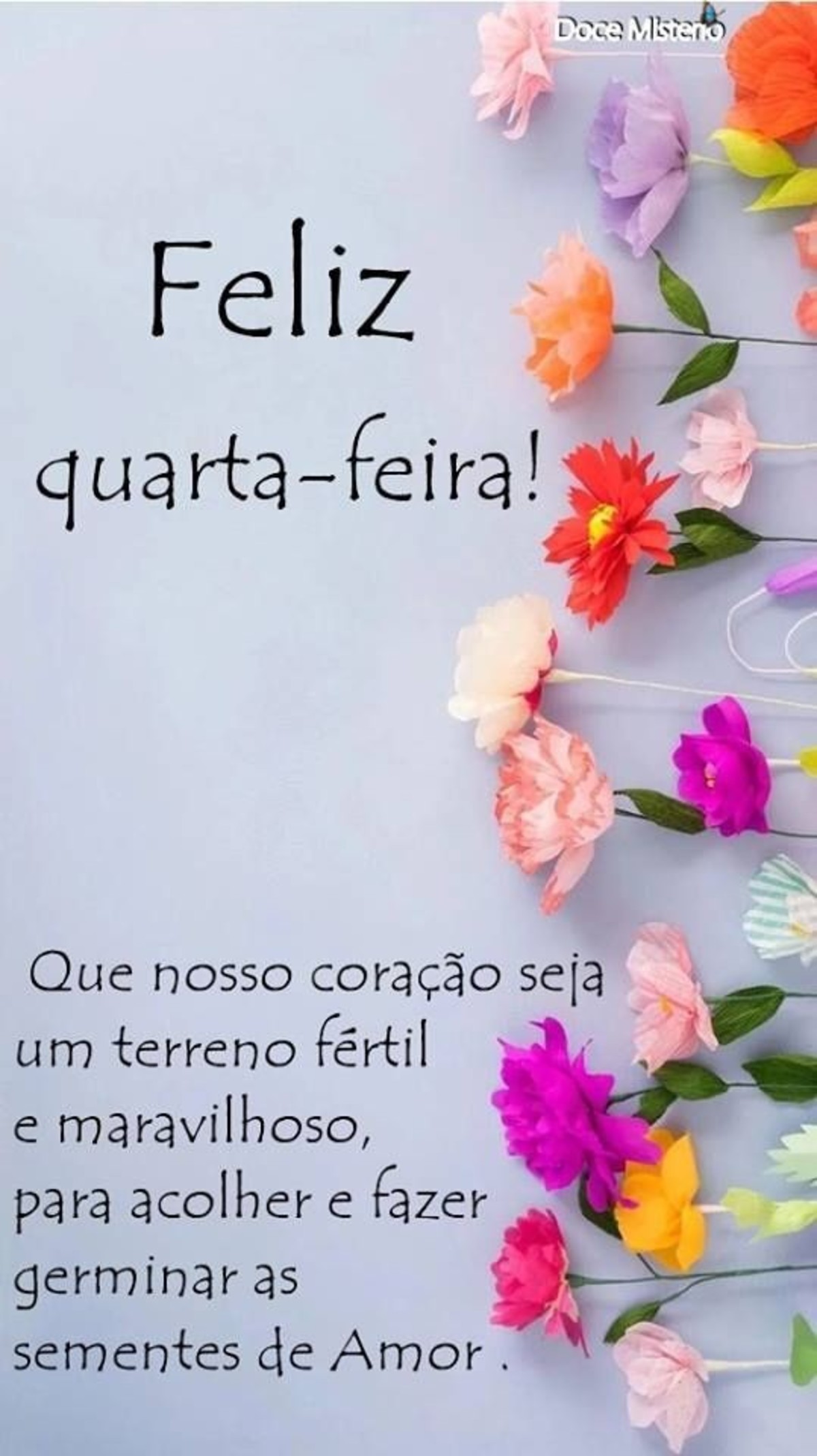 Feliz Quarta-Feira Bom Dia Facebook 223