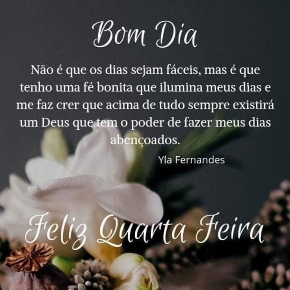 Feliz Quarta-Feira Pinterest 231