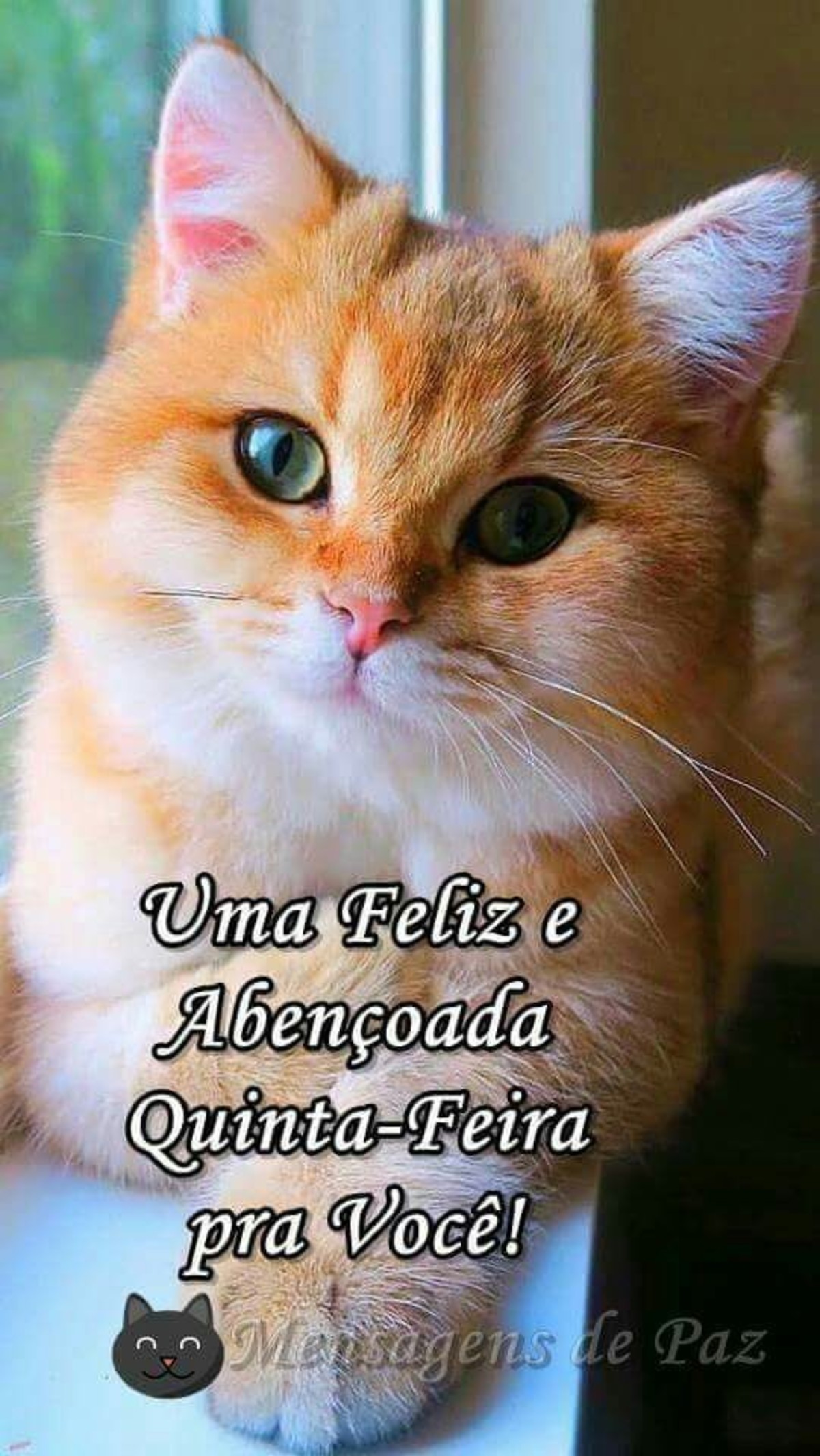 Feliz Quinta Feira Amigos Whatsapp 39 