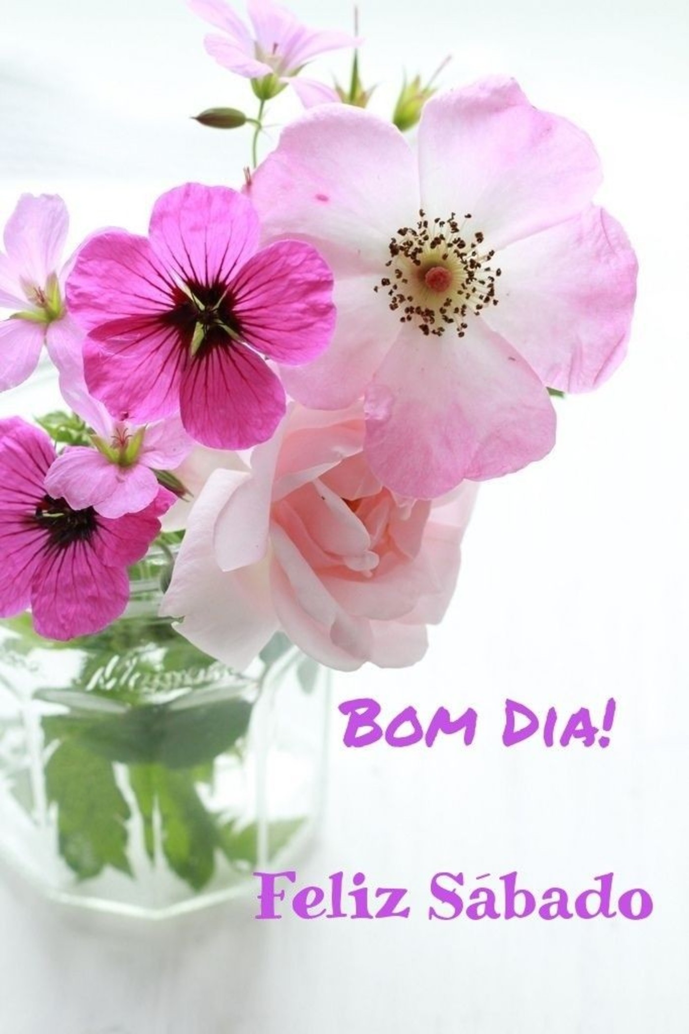 Feliz Sábado com flores lindas imagens 28