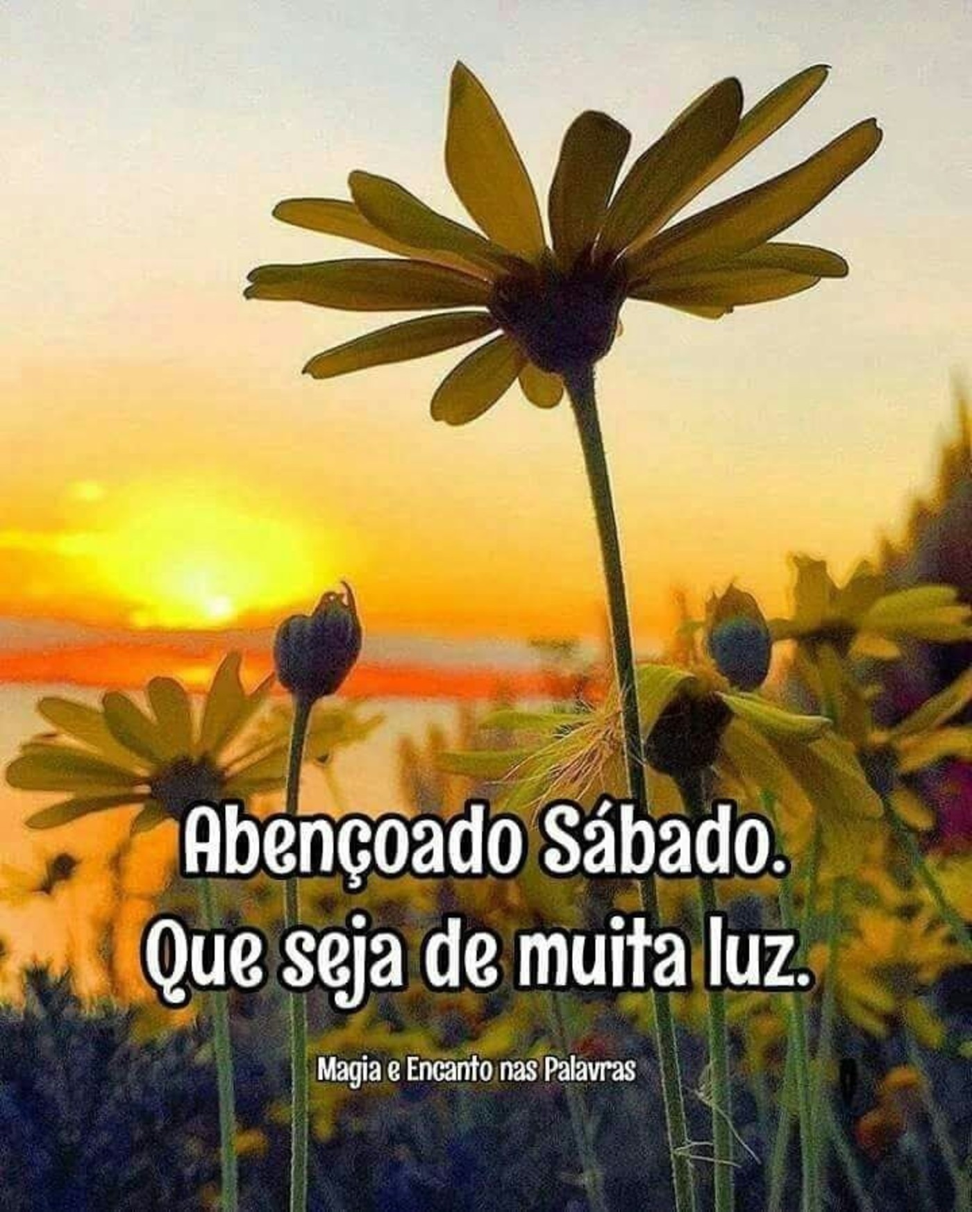 Feliz Sábado lindas frases 256