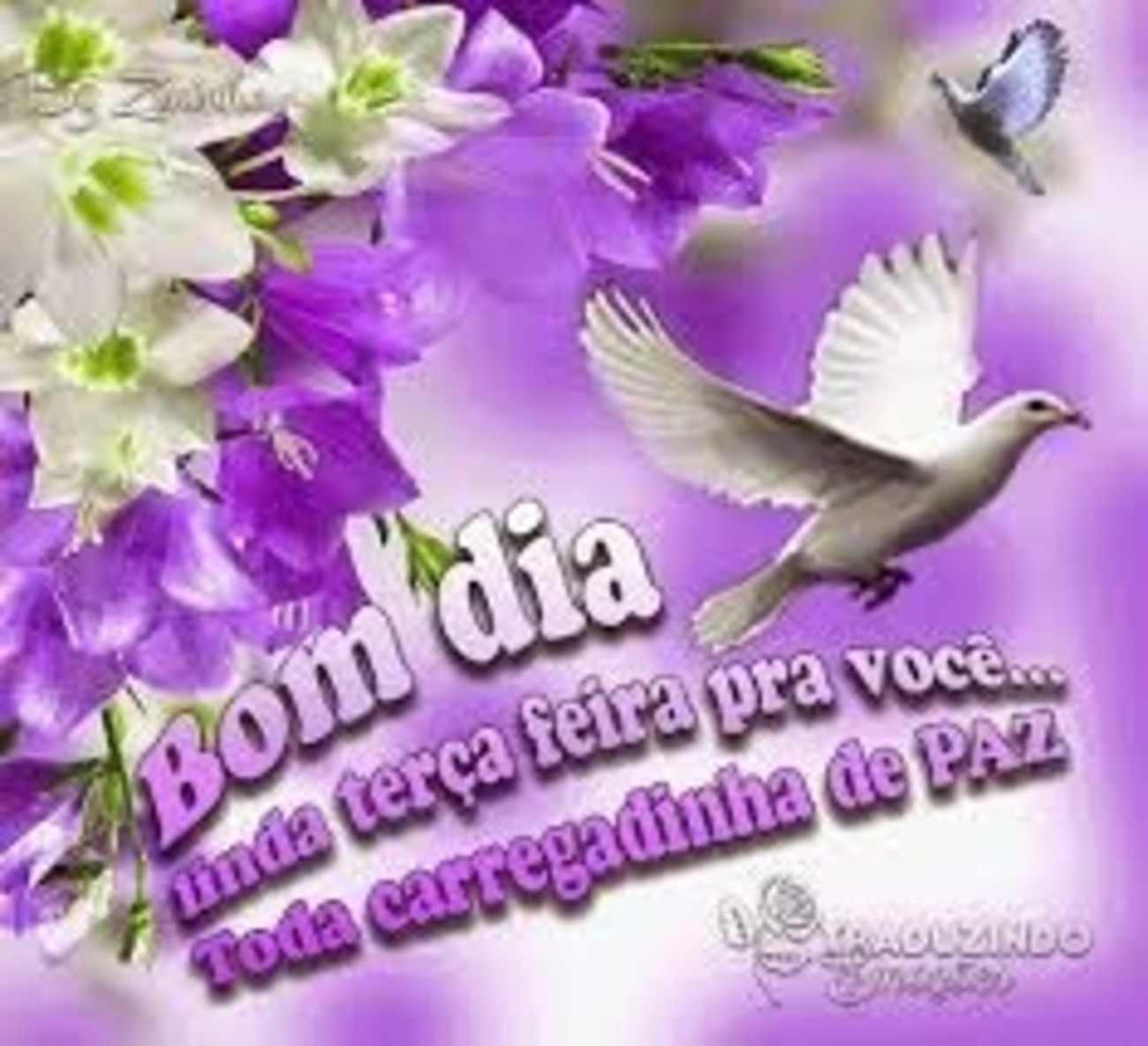 Feliz Terça-feira bom dia com Deus 117