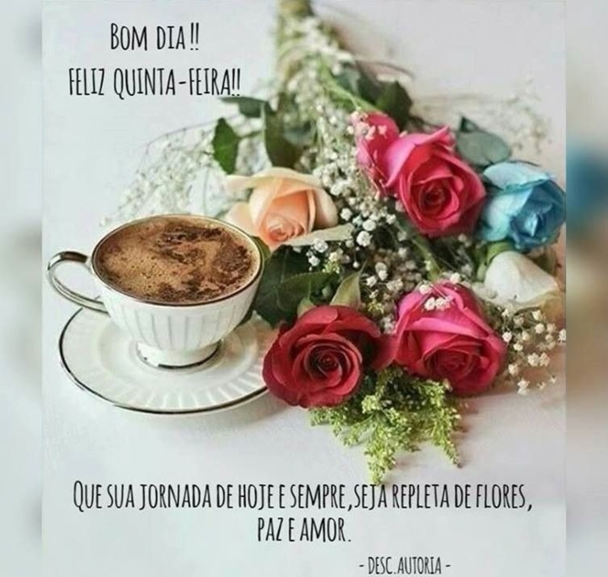 Feliz quinta-feira a todos 245