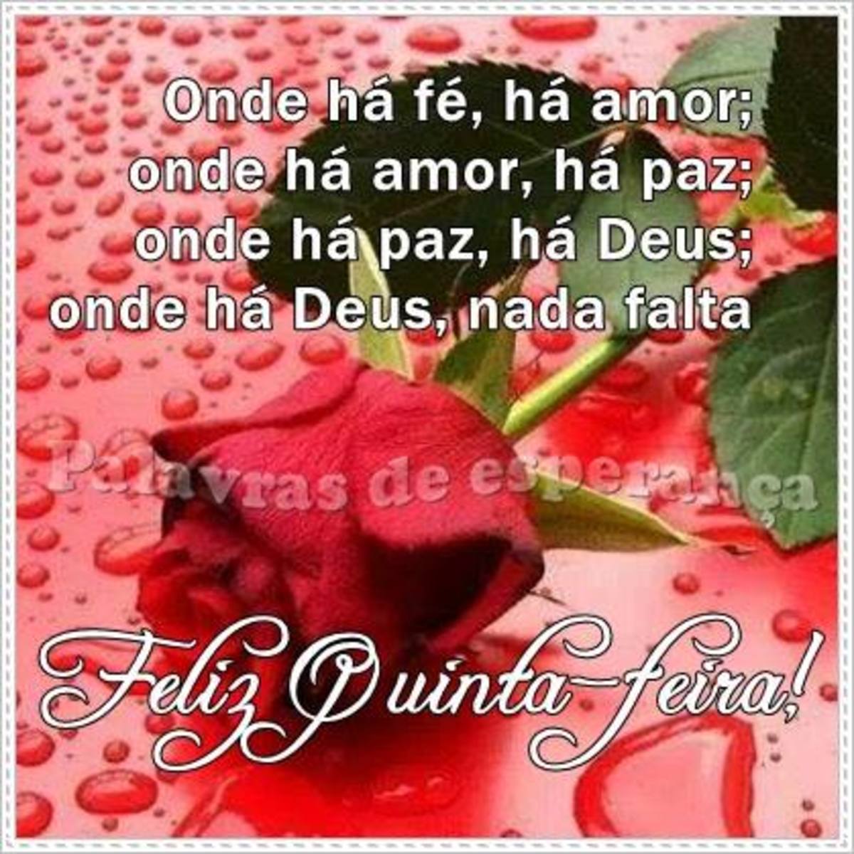 Feliz quinta-feira a todos 26