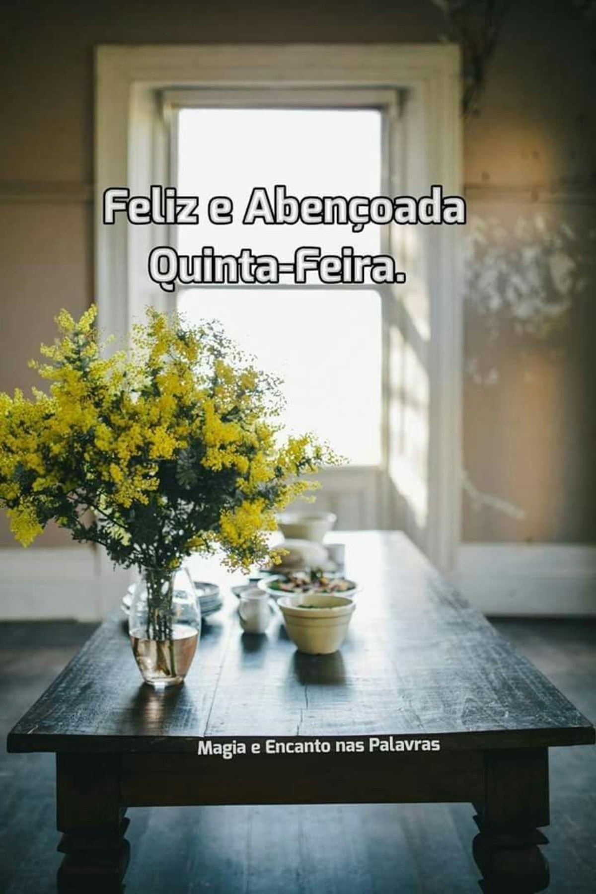 Feliz quinta-feira a todos 31