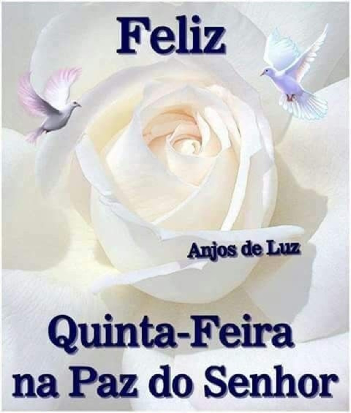 Feliz quinta feira mensagem 226