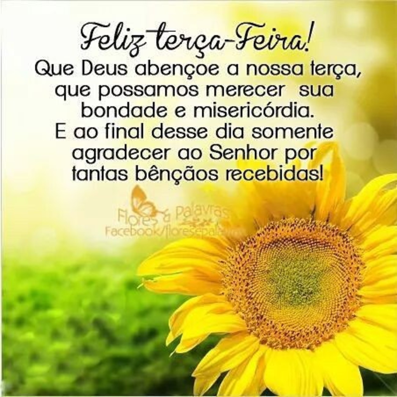 Feliz terça feira a todos 76