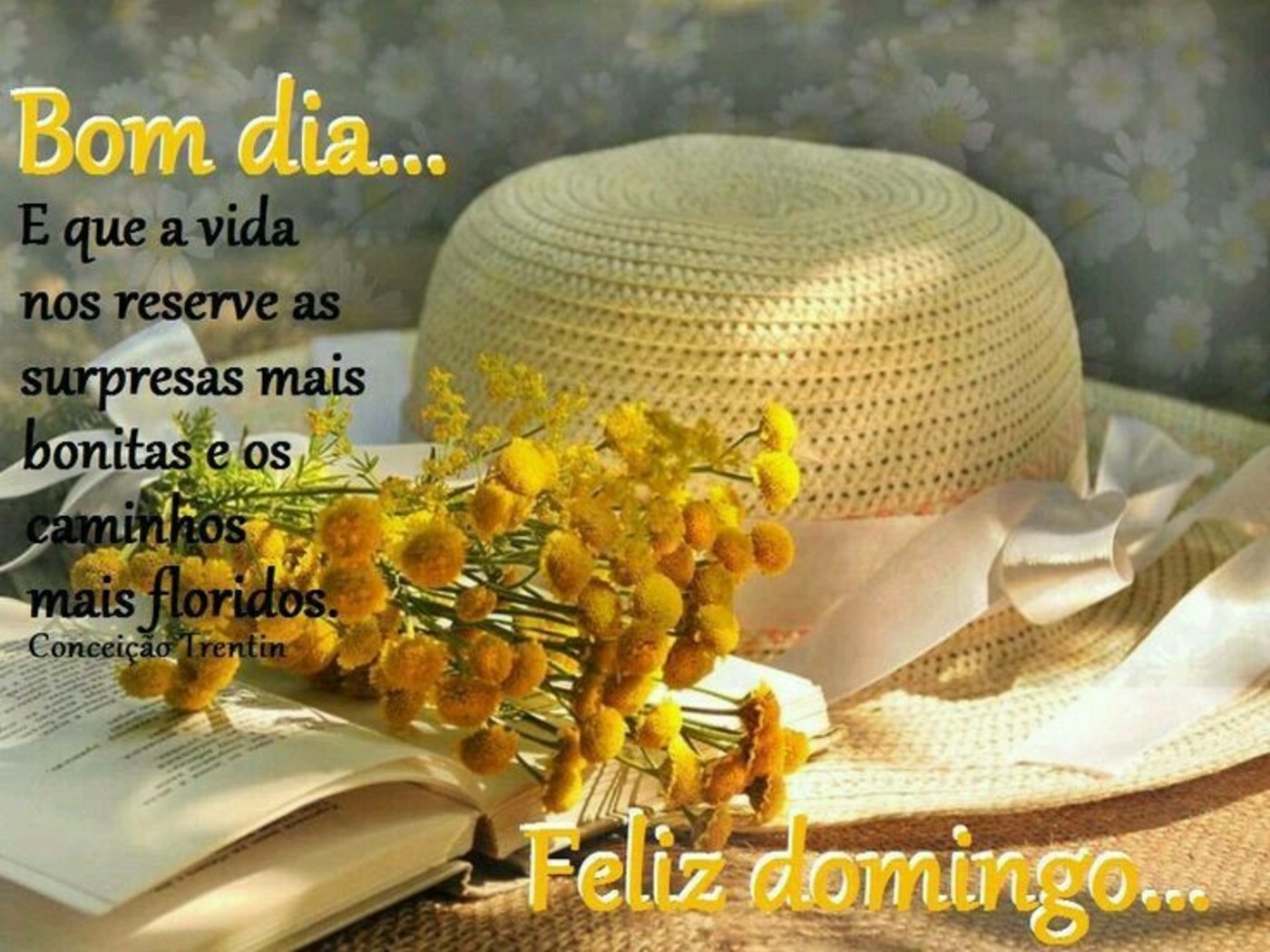 Frases Feliz Domingo 195