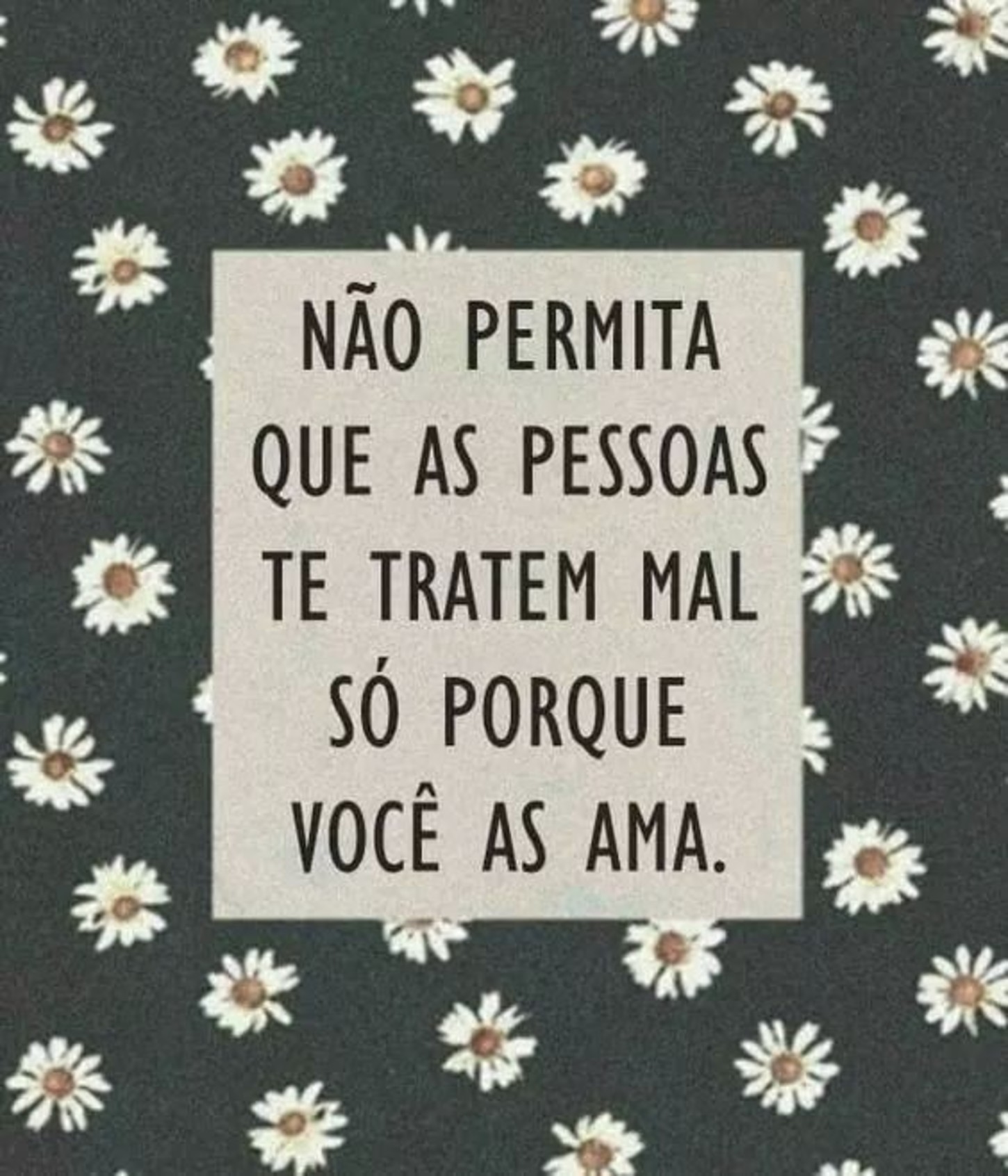 Frases belas para compartilhar 219