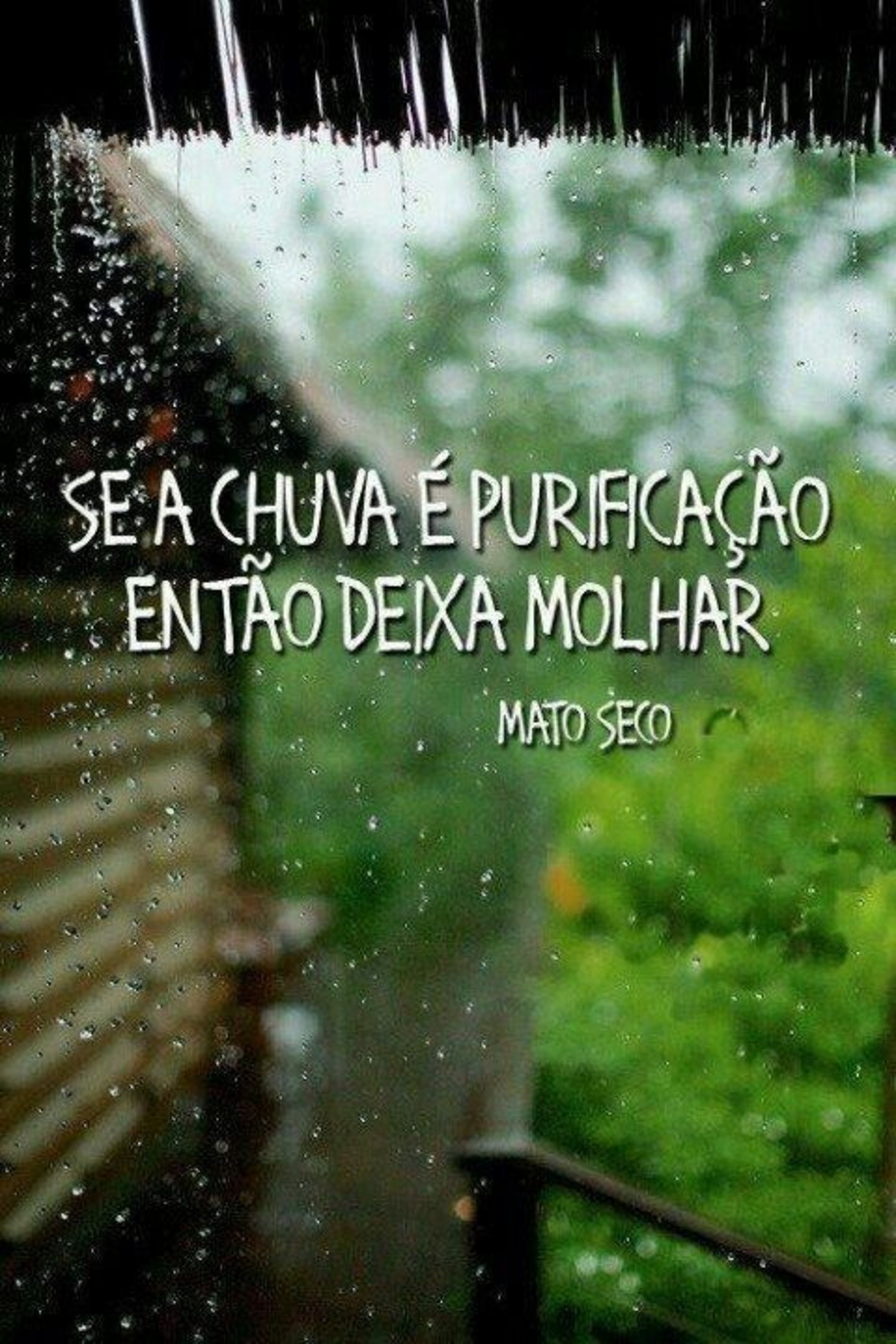 Frases imagens bonitas 313