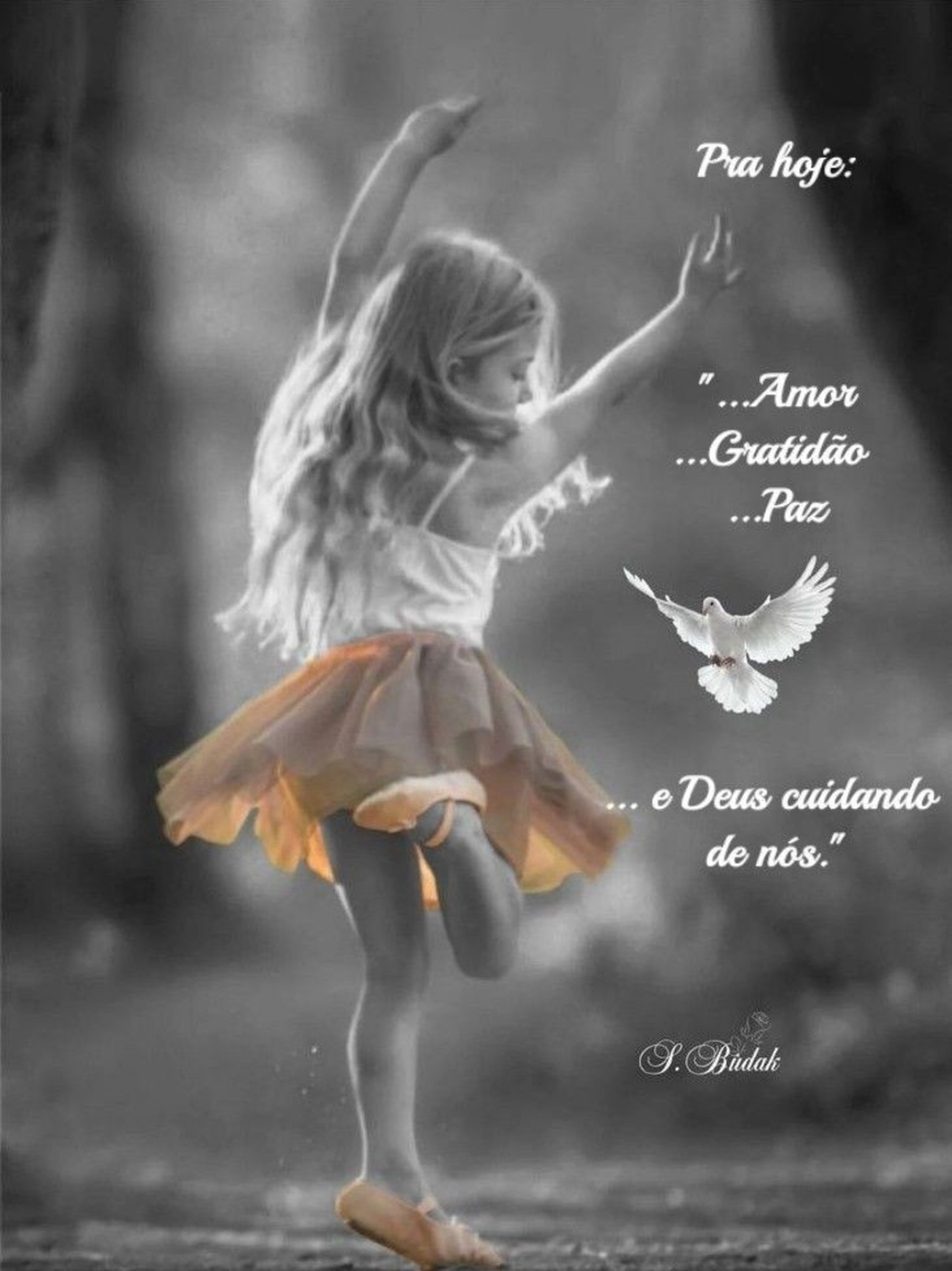 Imagens com frases bonitas para postar no Facebook 250