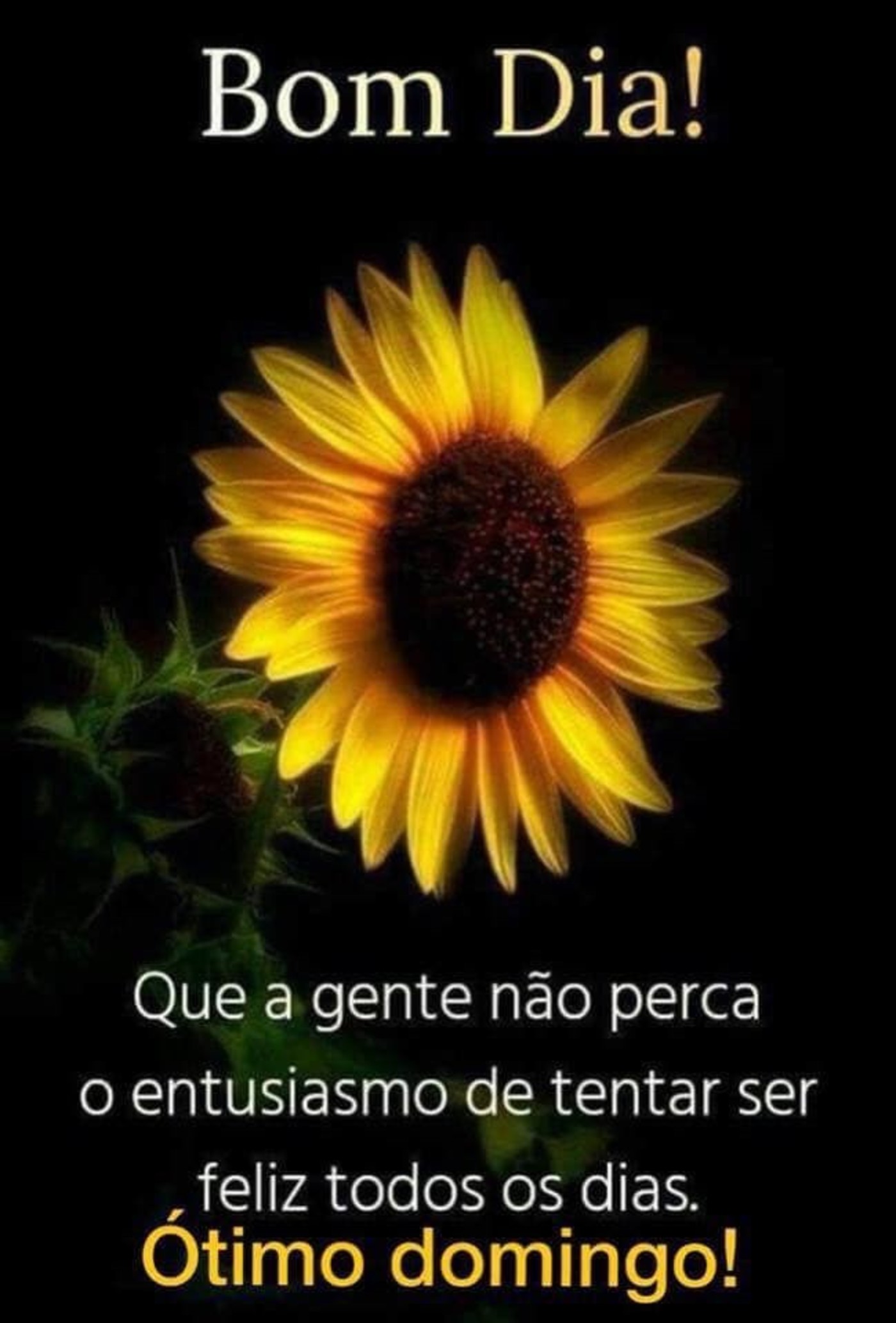 Místicos Online - Bom Dia!!!🌻🌻🌻