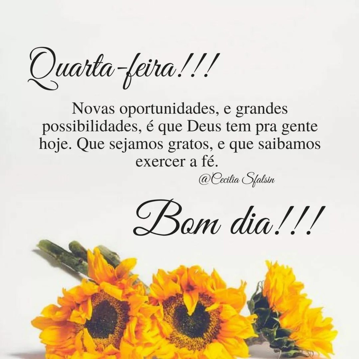 Quarta-Feira frases 140