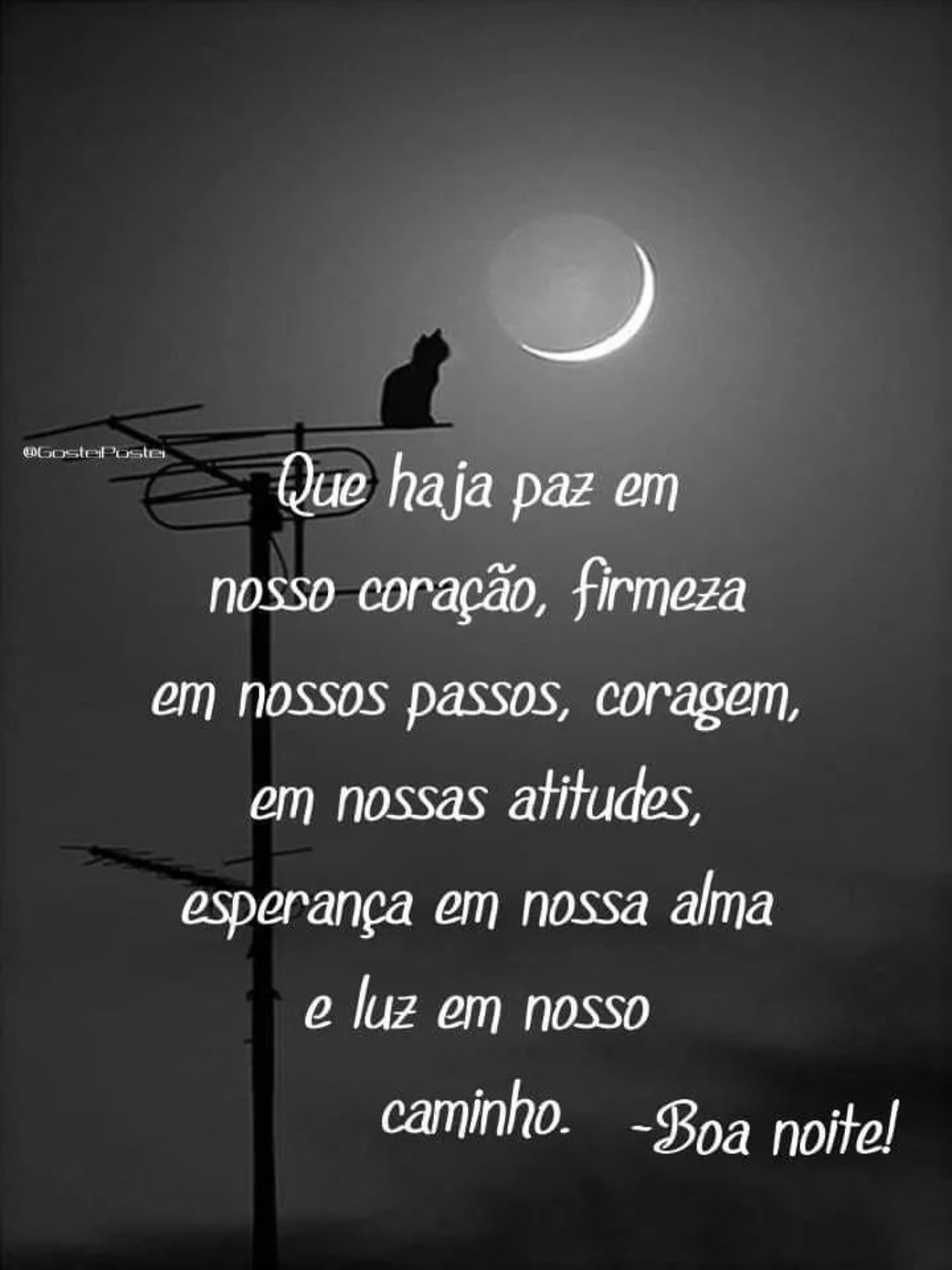 Boa Noite amizade 674