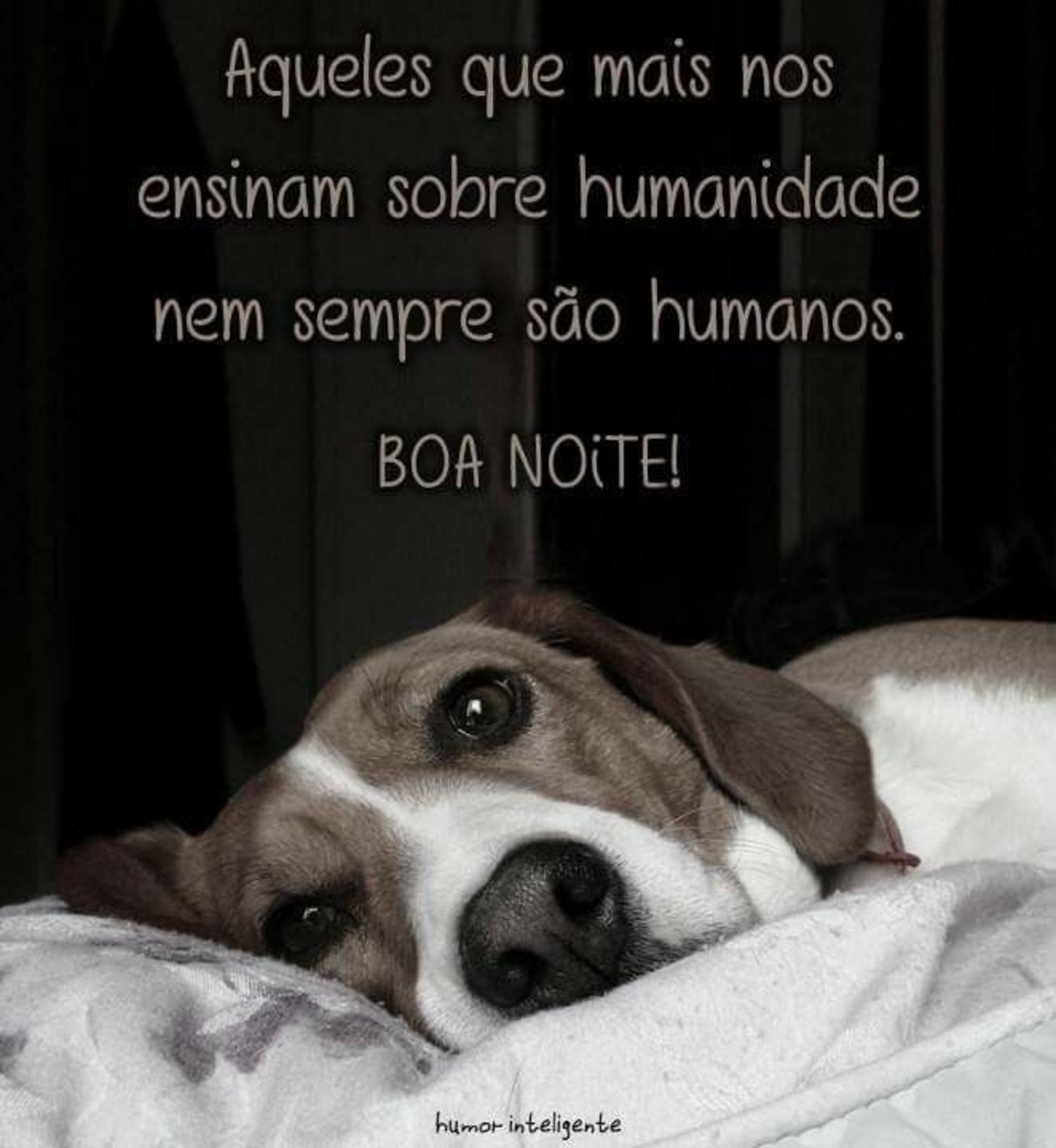 Boa Noite amizade 685