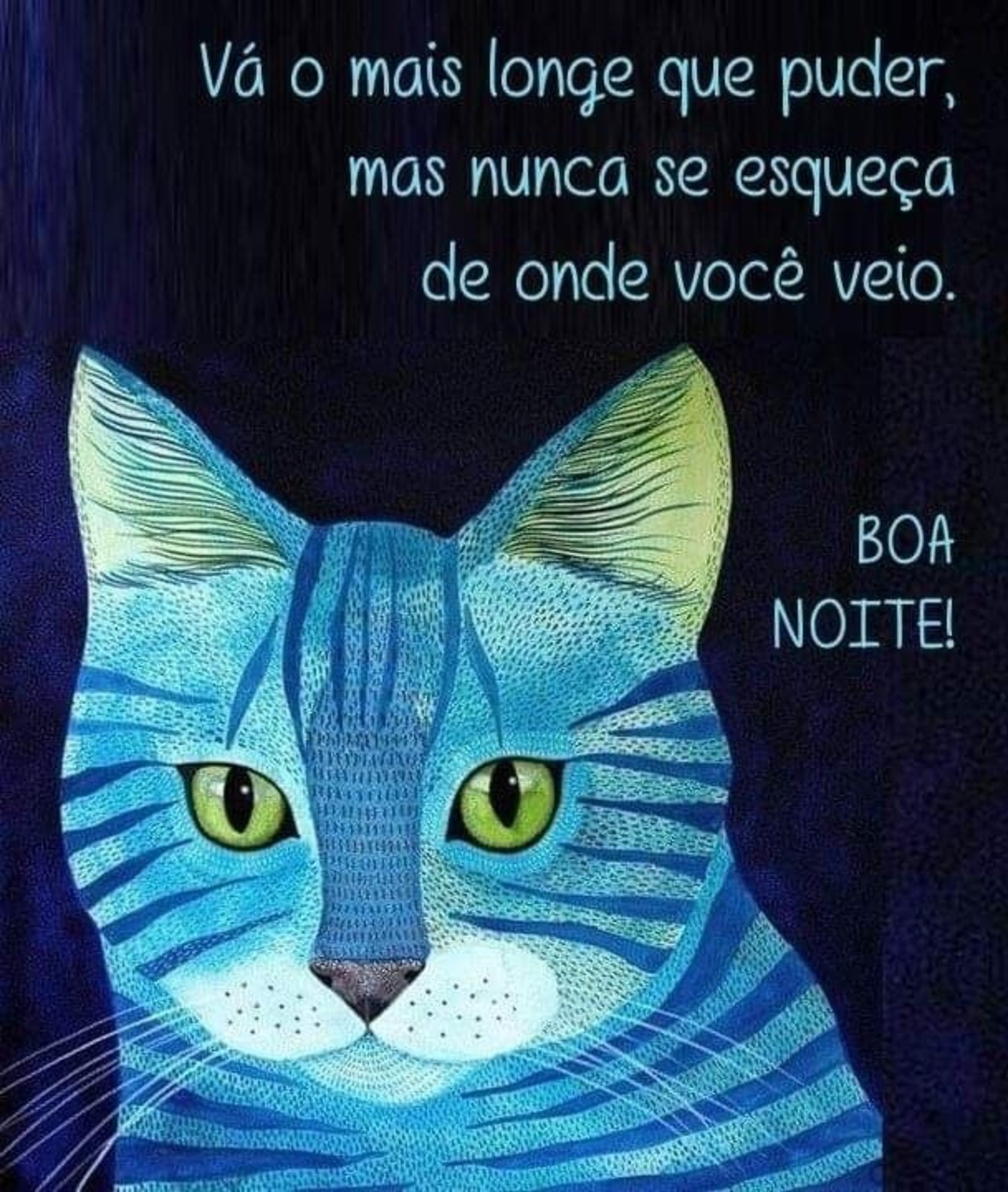 Boa Noite frases para WhatsApp 509