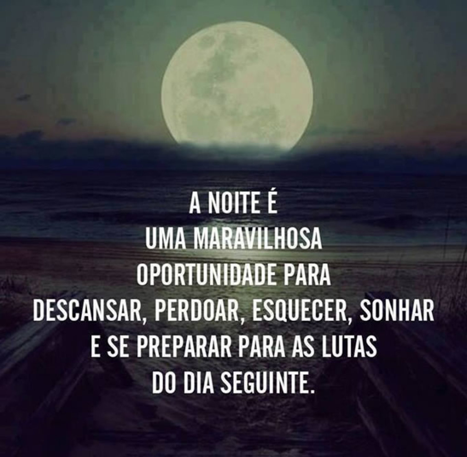 Boa Noite frases para WhatsApp 576