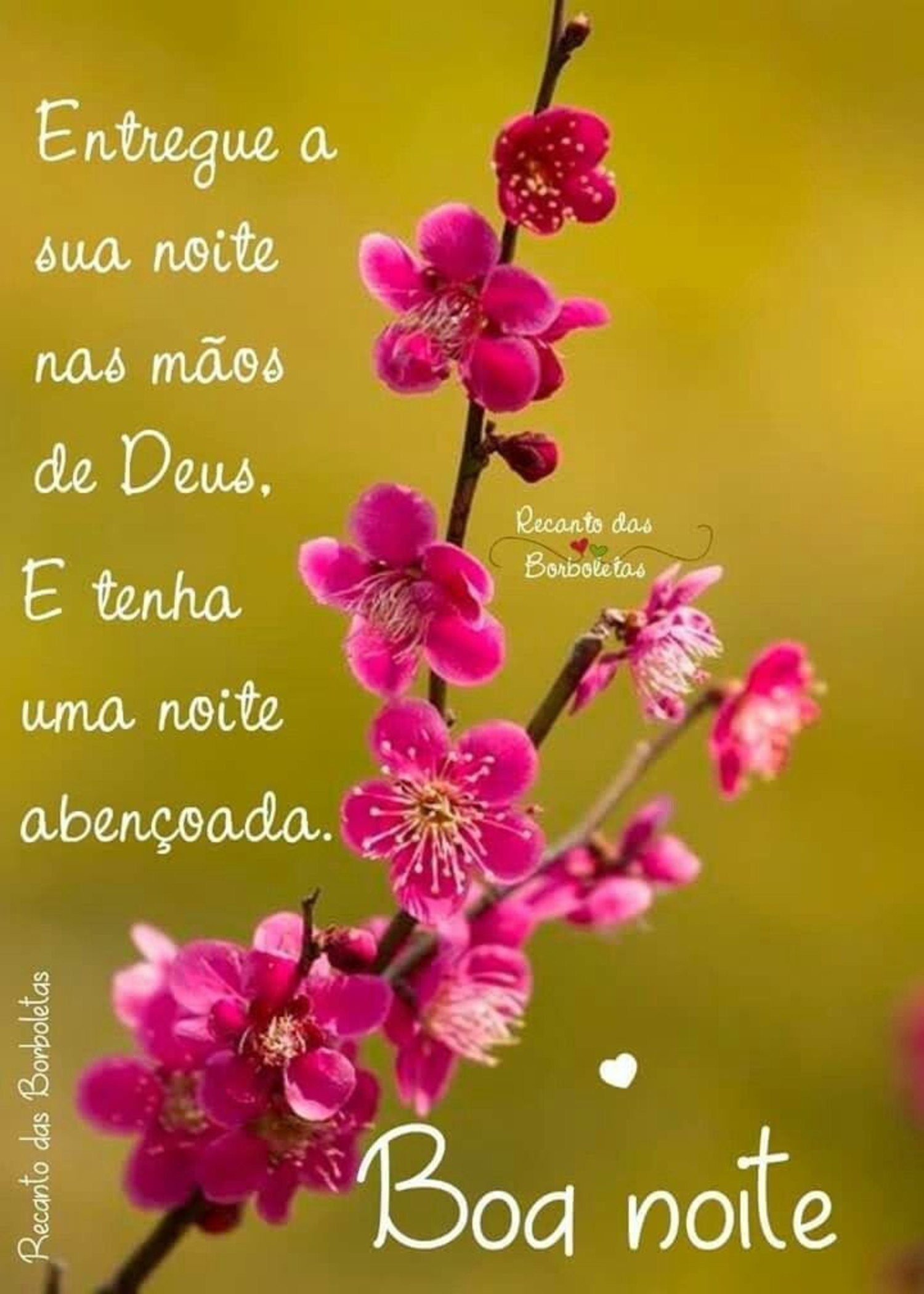 Boa Noite frases para WhatsApp 633