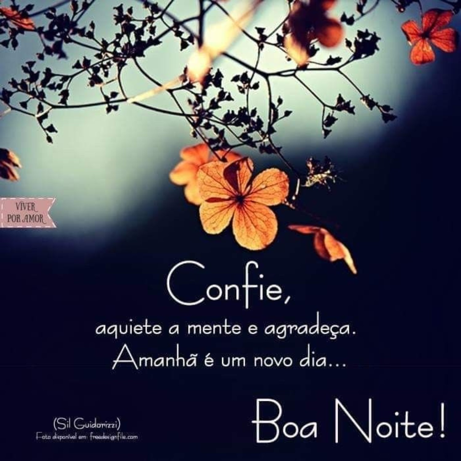 Boa Noite imagem 569