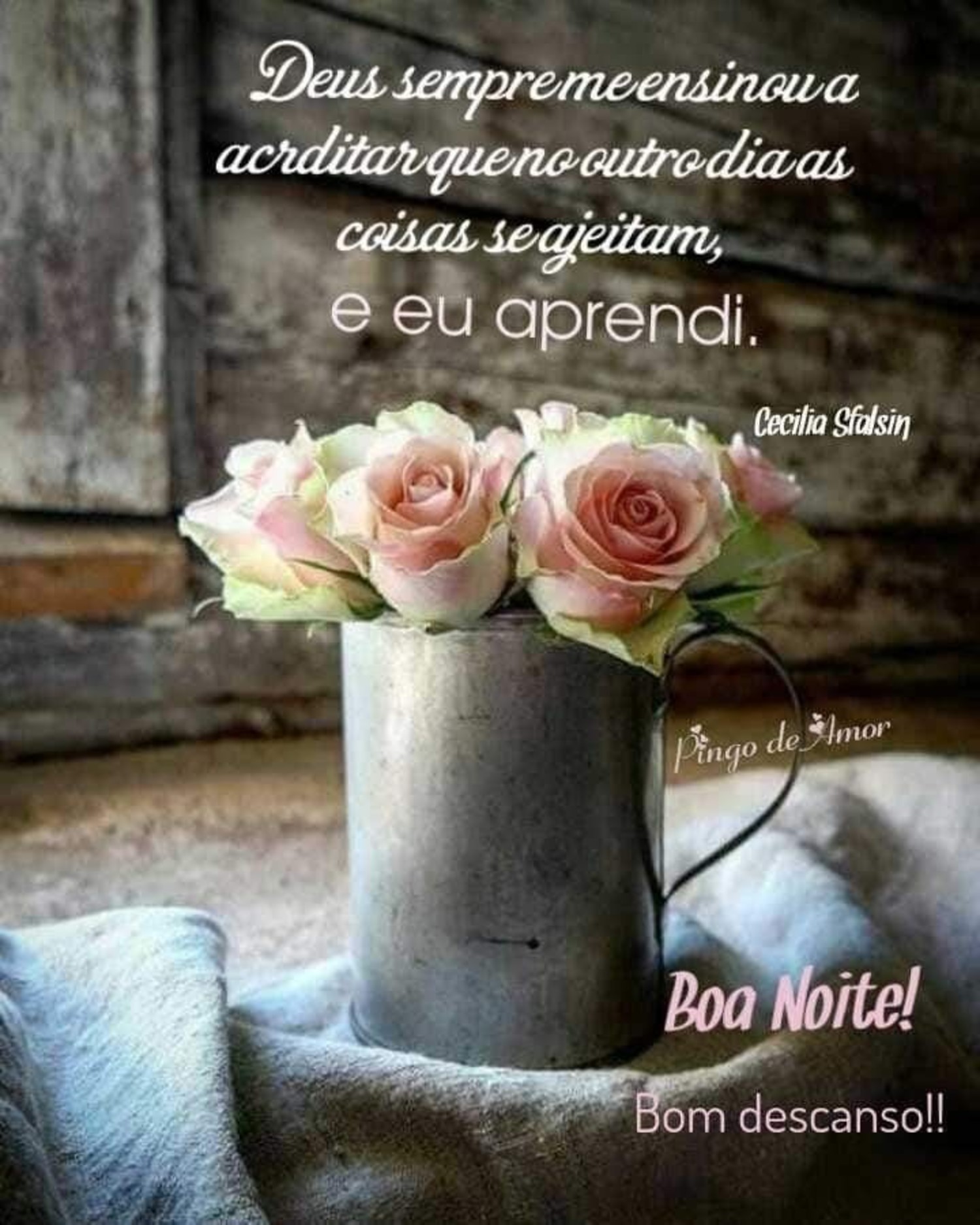 Boa Noite mensagem 583