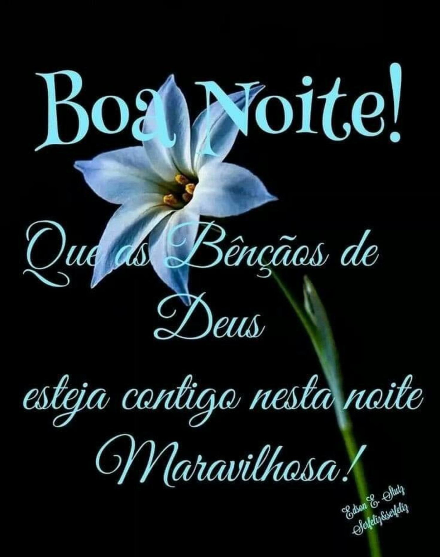 Boa Noite mensagem 585