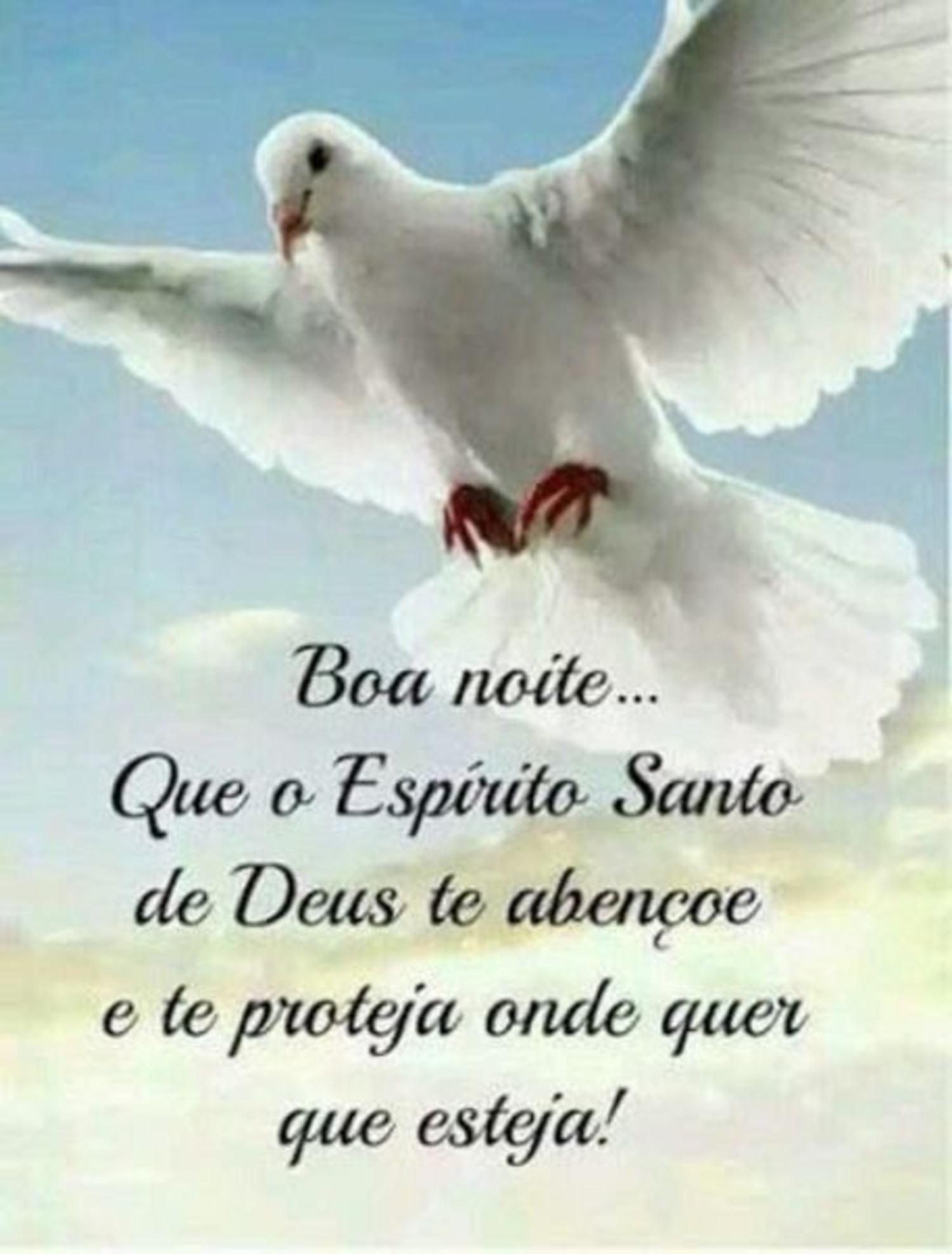 Boa Noite mensagens 1031