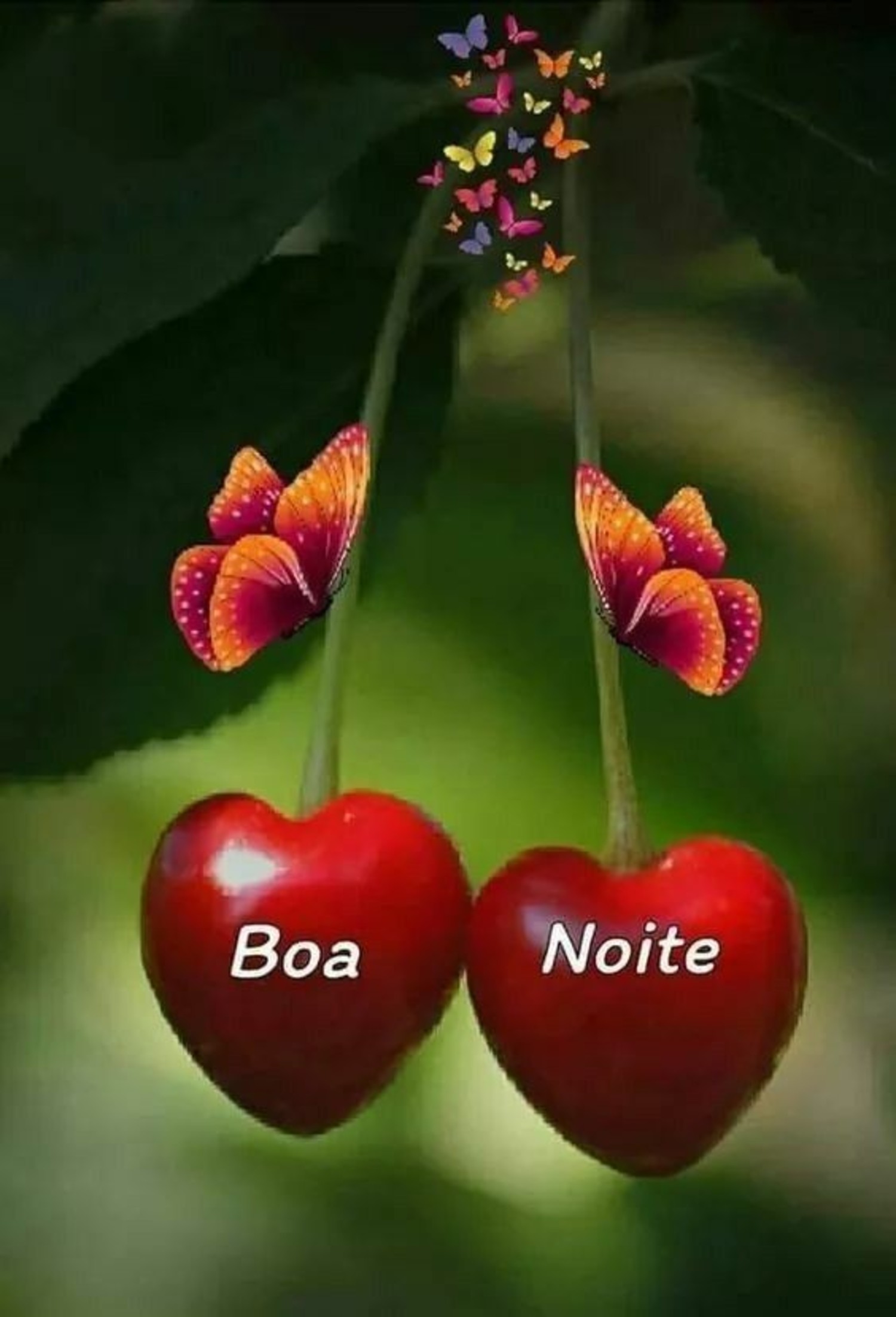 Boa Noite mensagens 1041