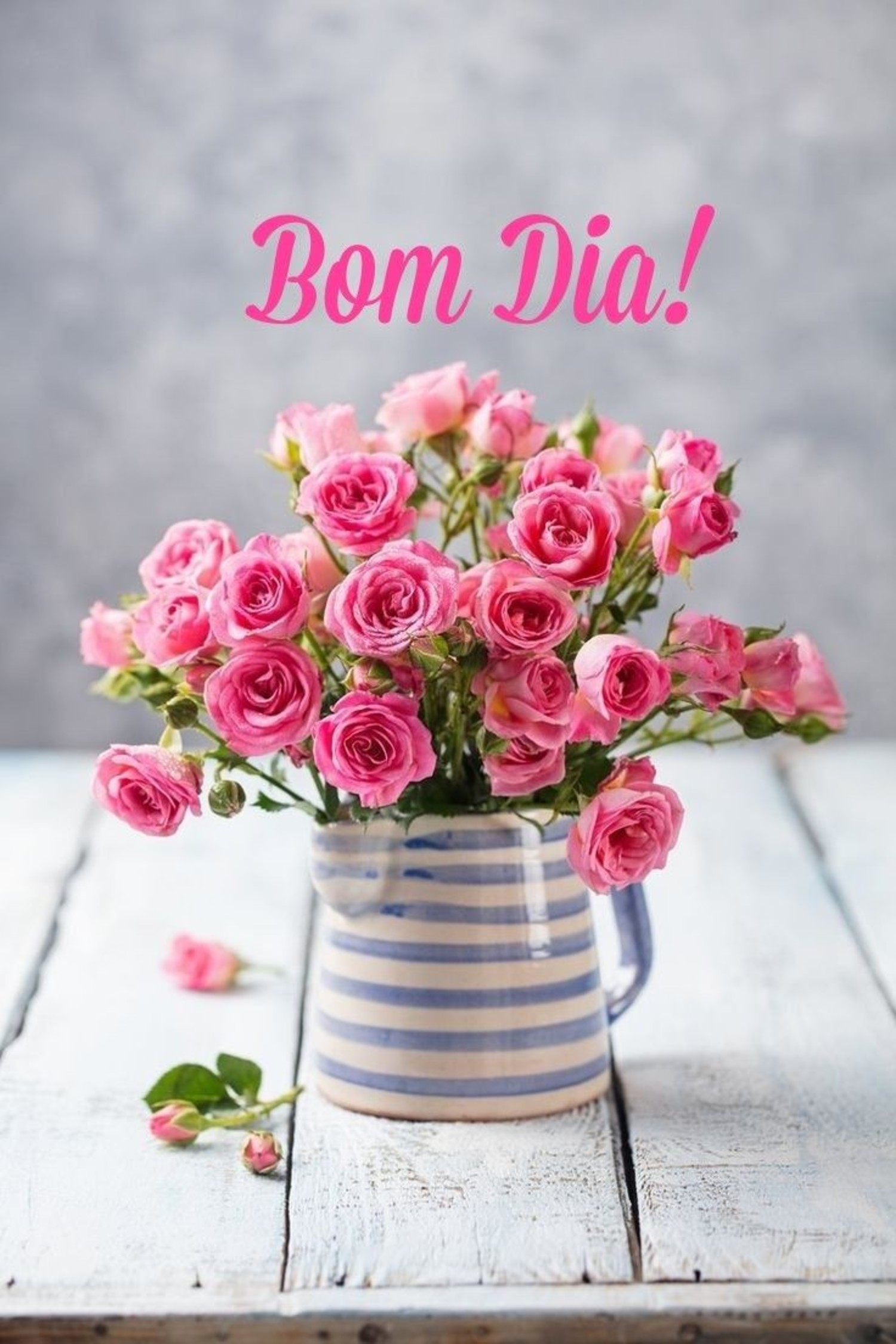 Bom Dia imagem 772