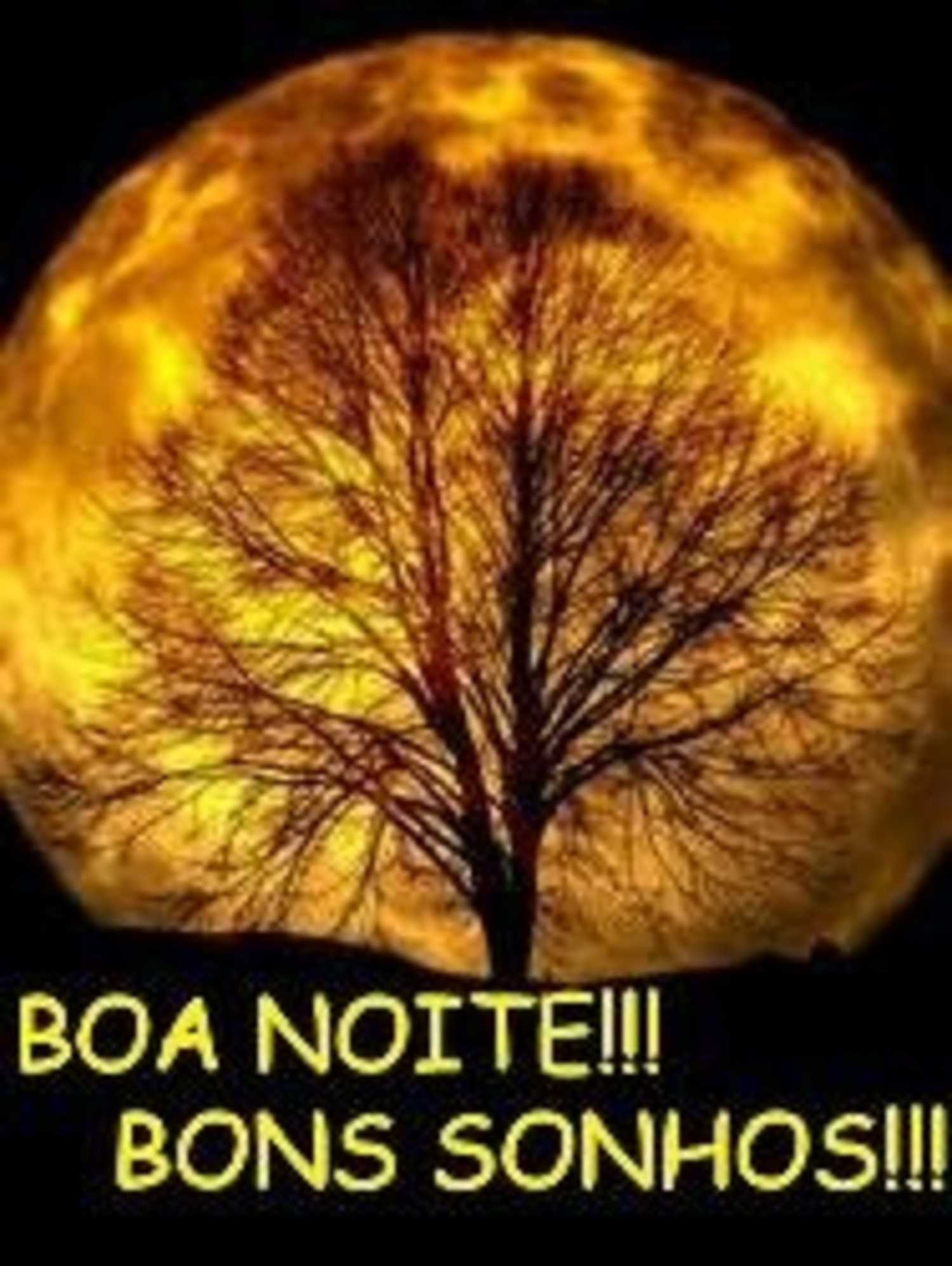 Imagem Boa Noite grupo familia 766