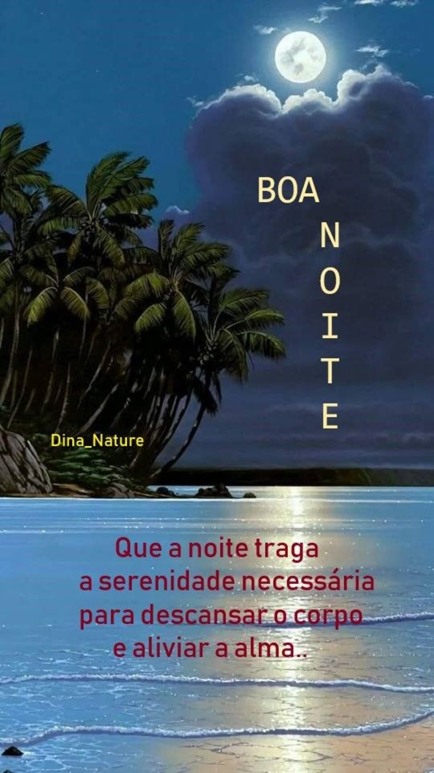 Imagens de Boa Noite bonitas para WhatsApp 874