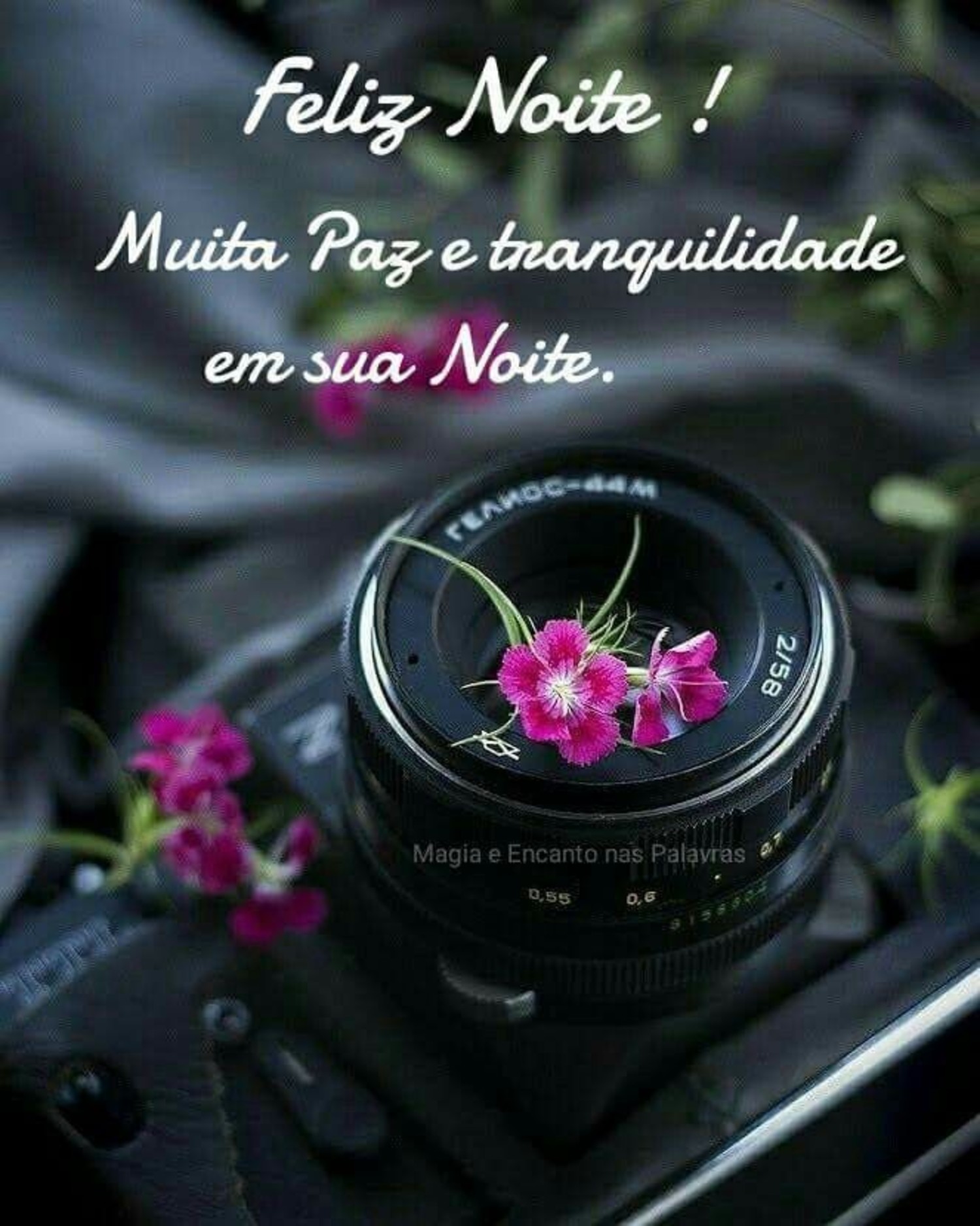 Mensagens Boa Noite WhatsApp 989