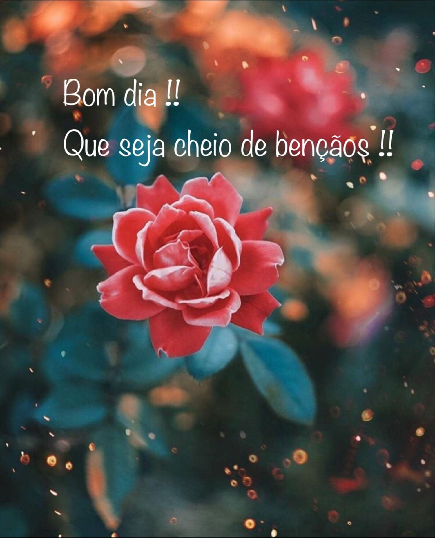 Mensagens de Bom Dia e frases 937