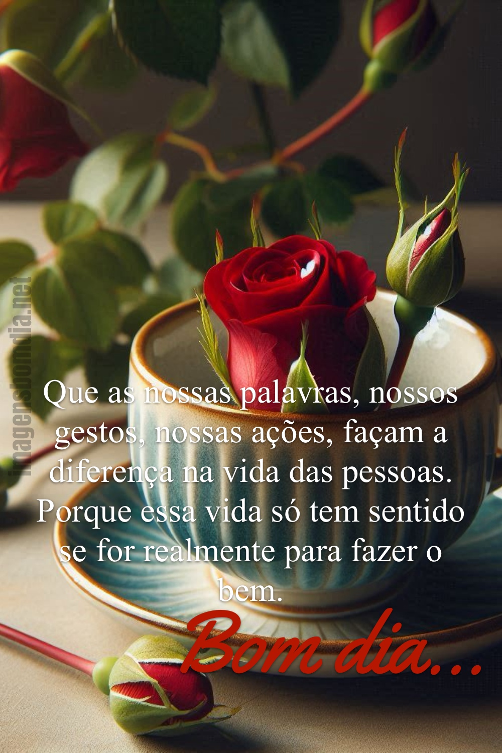 Que as nossas palavras, nossos gestos, nossas ações, façam a diferença na vida das pessoas... Bom dia...