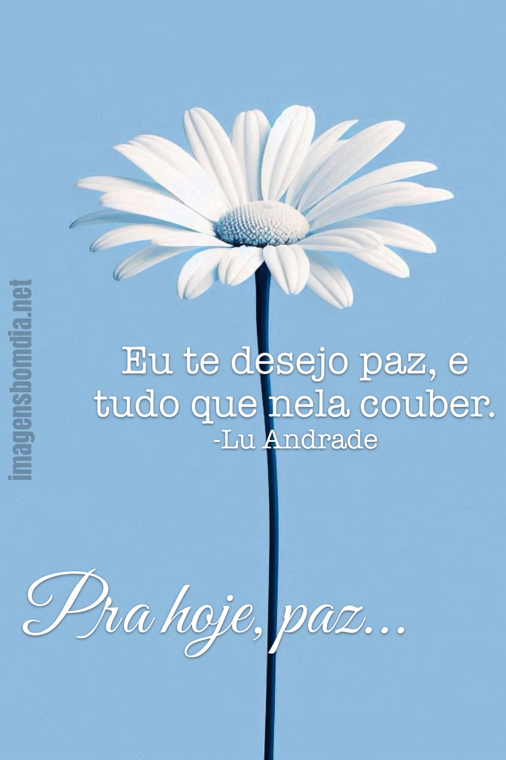 Eu te desejo paz, e tudo que nela couber. Lu Andrade. Pra hoje, paz...